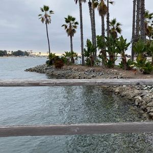 Meet your Posher, Chloe